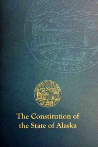 Pocket Constitution image